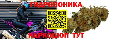 2c-b Славгород